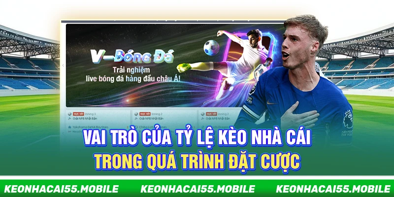 Kèo Nhà Cái ⭐️ Tỷ Lệ Kèo Nhà Cái Kèo Bóng Đá World Cup 2026 Mới Nhất 12 Vai trò của tỷ lệ kèo nhà cái trong quá trình đặt cược